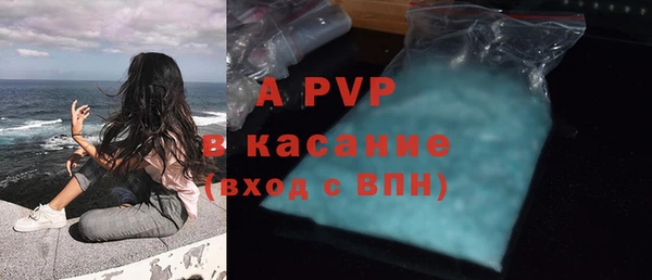стаф Касимов