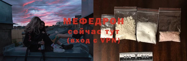 стаф Касимов