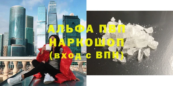 стаф Касимов