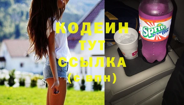 стаф Касимов