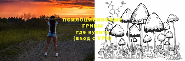 крисы Карпинск