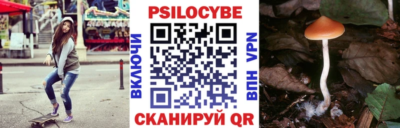 Псилоцибиновые грибы Cubensis  Котово 